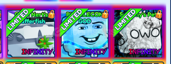 BGSI infinty petler teklif arıyorum