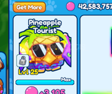BGSI | Pineapple Tourist