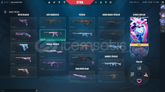 ⭐BIÇAKLI +24 SKİN + BRONZ 2⭐