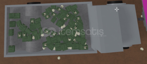 ( BİR ARABA DOLUSU GÖZ )