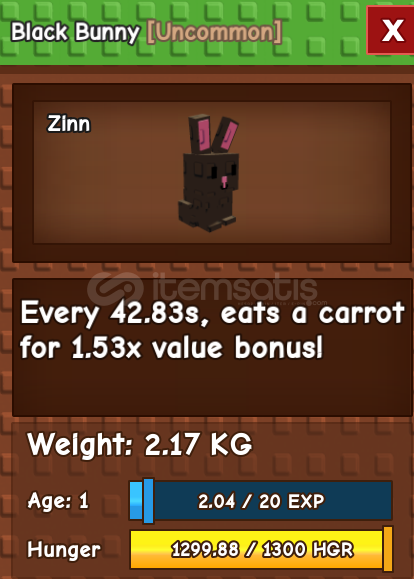 Black Bunny  Black Bunny
