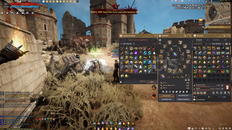 Black Desert Full Hesap