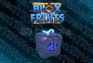 Blox Frıits Portal Meyvesi