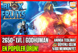 ⭐️Blox Fruits❤️2650 LVL + GODHUMAN GARANTİLİ❤️