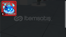Blox Fruit 1X Control Fruit