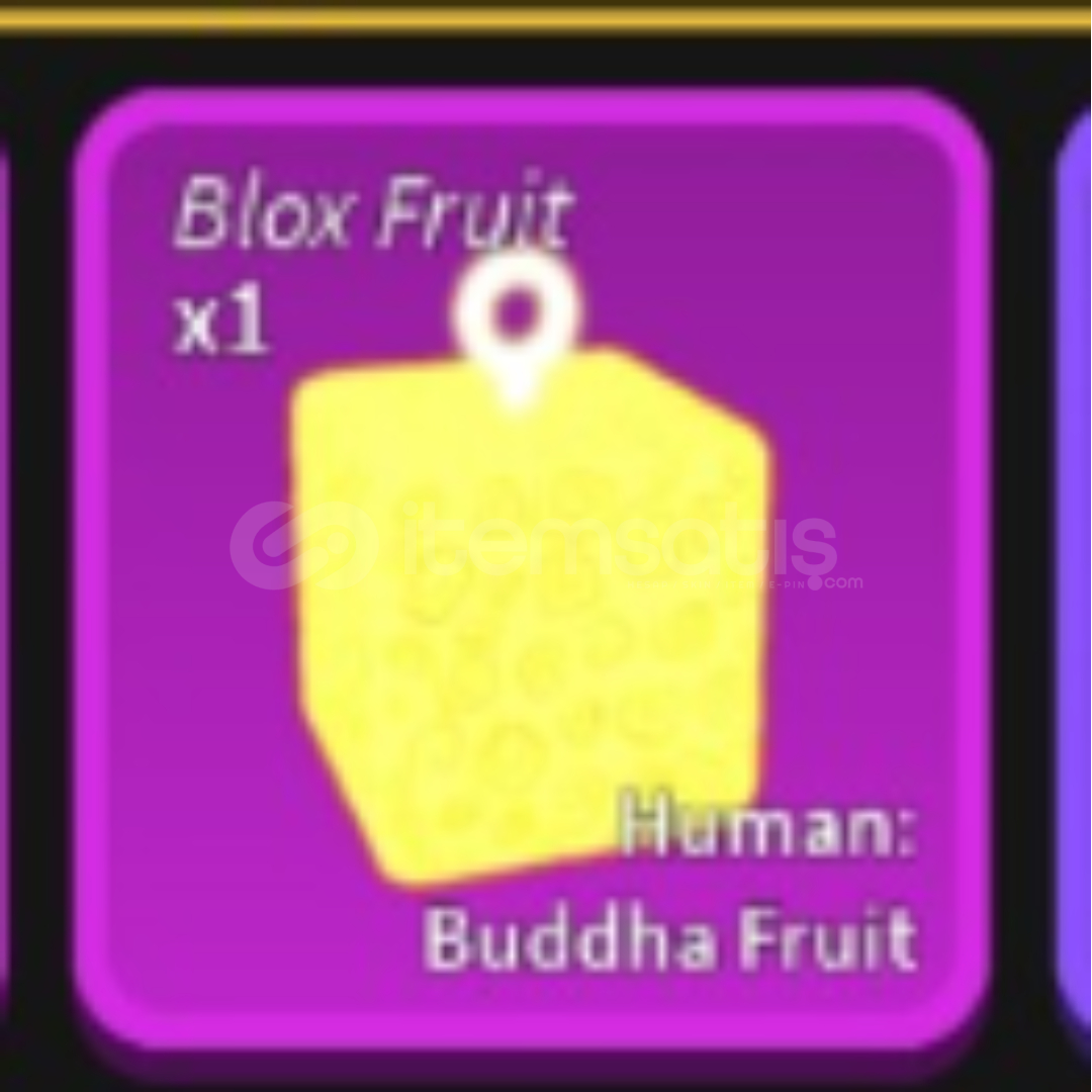 What is the best trade for buddha blox fruits