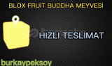 Blox Fruit Buddha Meyvesi 