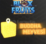 Blox Fruit Buddha Meyvesi
