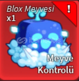BLOX FRUİT CONTROL MEYVESİ