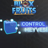 Blox Fruit Control Meyvesi