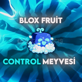 Blox Fruit Control Meyvesi