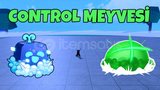 (BLOX FRUİT) CONTROL MEYVESİ