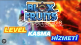 Blox Fruit Hesap Kasma Hizmeti