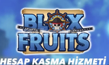 BLOX FRUİT HİZMETLERİ