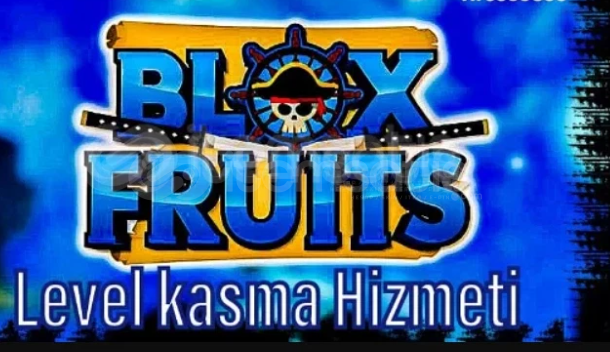 blox fruit level hizmeti  blox fruit level hizmeti
