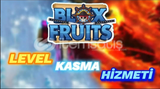 Blox Fruit Level Kasma Hizmeti