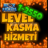 blox fruit level kasma hizmeti