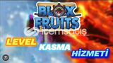 Blox Fruit Level Kasma Hizmeti