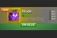 Blox Fruit Permanent Blade