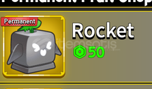 Blox Fruit Permanent Rocket