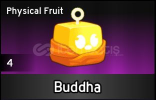 BLOX FRUİT PORTAL+BUDDHA FRUİT BLOX FRUİT PORTAL+BUDDHA FRUİT