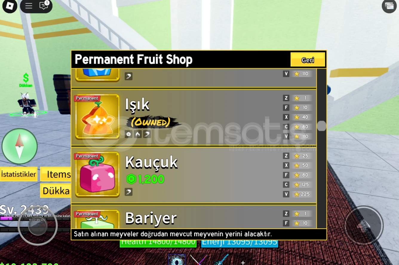 BLOX FRUİT SAĞLAM HESAP BLOX FRUİT SAĞLAM HESAP