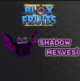 Blox Fruit Shadow Meyvesi