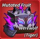 BLOX FRUİT TİGER(WEREWOLF) FRUİT (EN UCUZ)