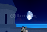 blox fruit v4 hizmetleri 