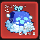 blox fruits 1 adet control meyvesi