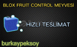 Blox Fruits Control Meyvesi