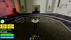 ----- BLOX FRUITS EMEK HESABI SATILIK -----