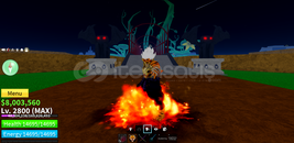 Blox Fruits Hizmetleri(AÇIKLAMAYI OKU)