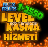 Blox Fruits Level Hizmeti