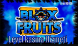 Blox Fruits Level Kasma Hizmetti