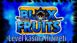 Blox Fruits Level Kasma Hizmetti