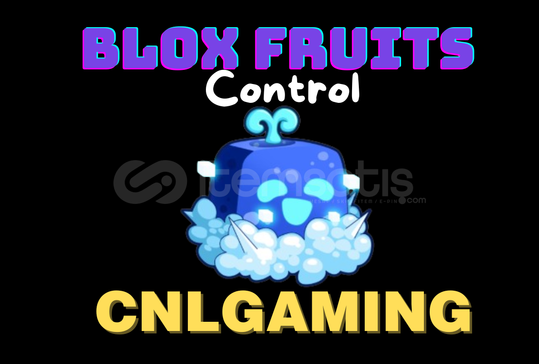 Blox Fruits - Permanent Control Blox Fruits - Permanent Control