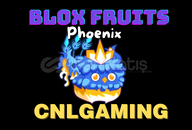 Blox Fruits - Permanent Phoenix