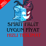Blox Fruits Spirit Fruit 