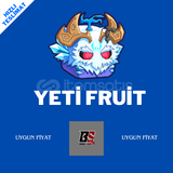 Yeti Fruit (Hızlı Teslimat)