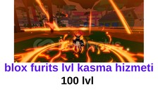 blox furits seviye kasma hizmeti[100lvl]
