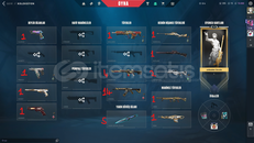 BOL NADİRLİ SATILIK VALORANT HESABI