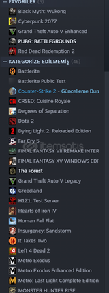 BOL OYUNLU STEAM HESABI