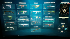 Bol Skinli hesap 90 + seviye Hesap 