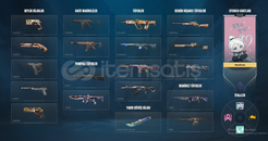 BOL SKİNLİ HESAP (PAZARLAMA DAHİL)