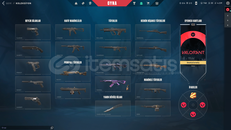 BORSA KELEBEK VANDAL PHANTOM BUCKYLİ HESAP