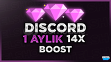 ⭐ BOTSUZ 1 Aylık 14x Boost