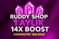 ⭐ BOTSUZ 1 AYLIK 14X BOOST - Anında Teslim ⭐