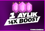 ✨[BOTSUZ] 1 AYLIK 14x BOOST | GARANTİ