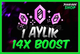 (BOTSUZ) ⭐ANINDA⭐ 1 AYLIK 14X SERVER BOOST
